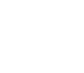 Icon Visibilite