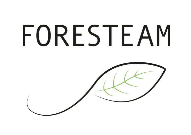 Logo Foresteam Transparent 1.png